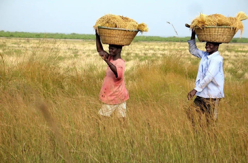 Casamance
